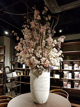 自然の森製薬 YAKUZEN GARDEN 店舗装飾 桜